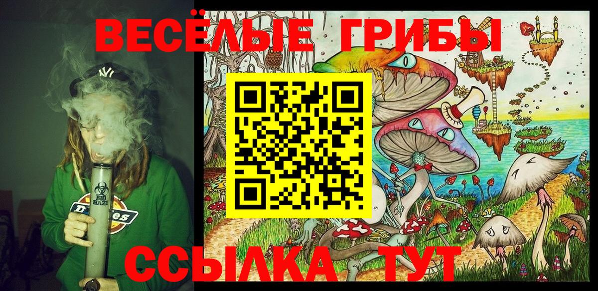Псилоцибиновые грибы GOLDEN TEACHER Дзержинск